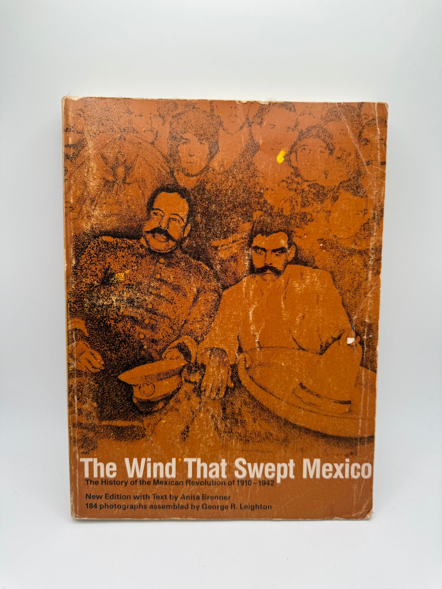 The Wind That Swept Mexico Book