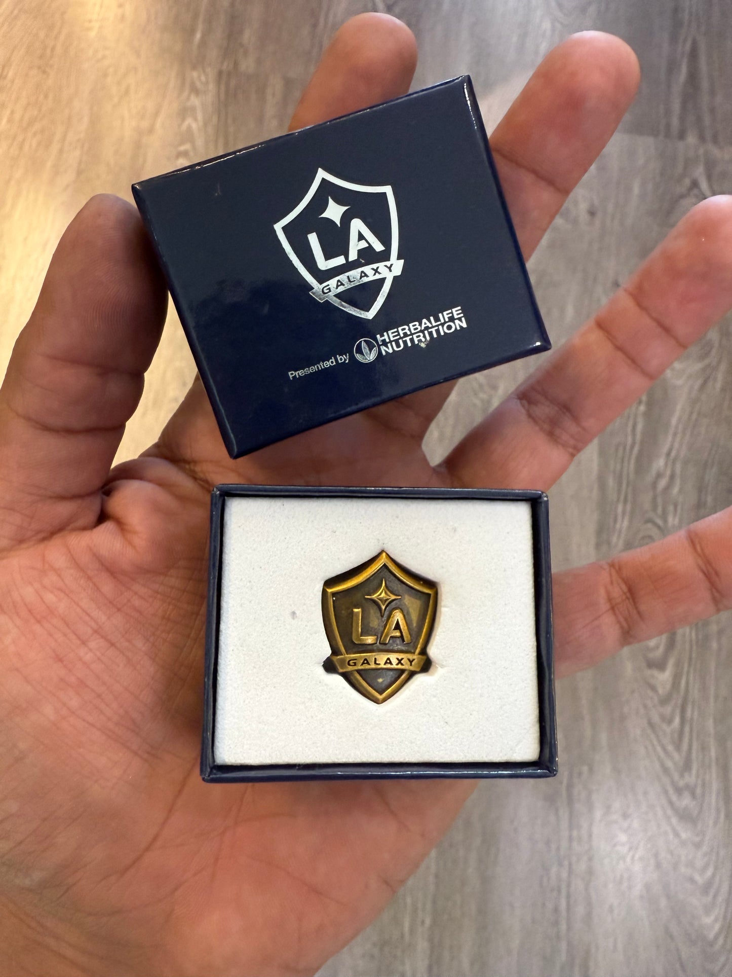 LA Galaxy pin