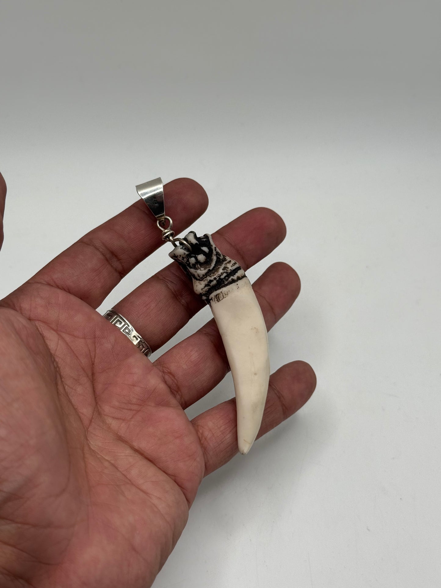 .925 Sterling Silver Animal tooth Pendant