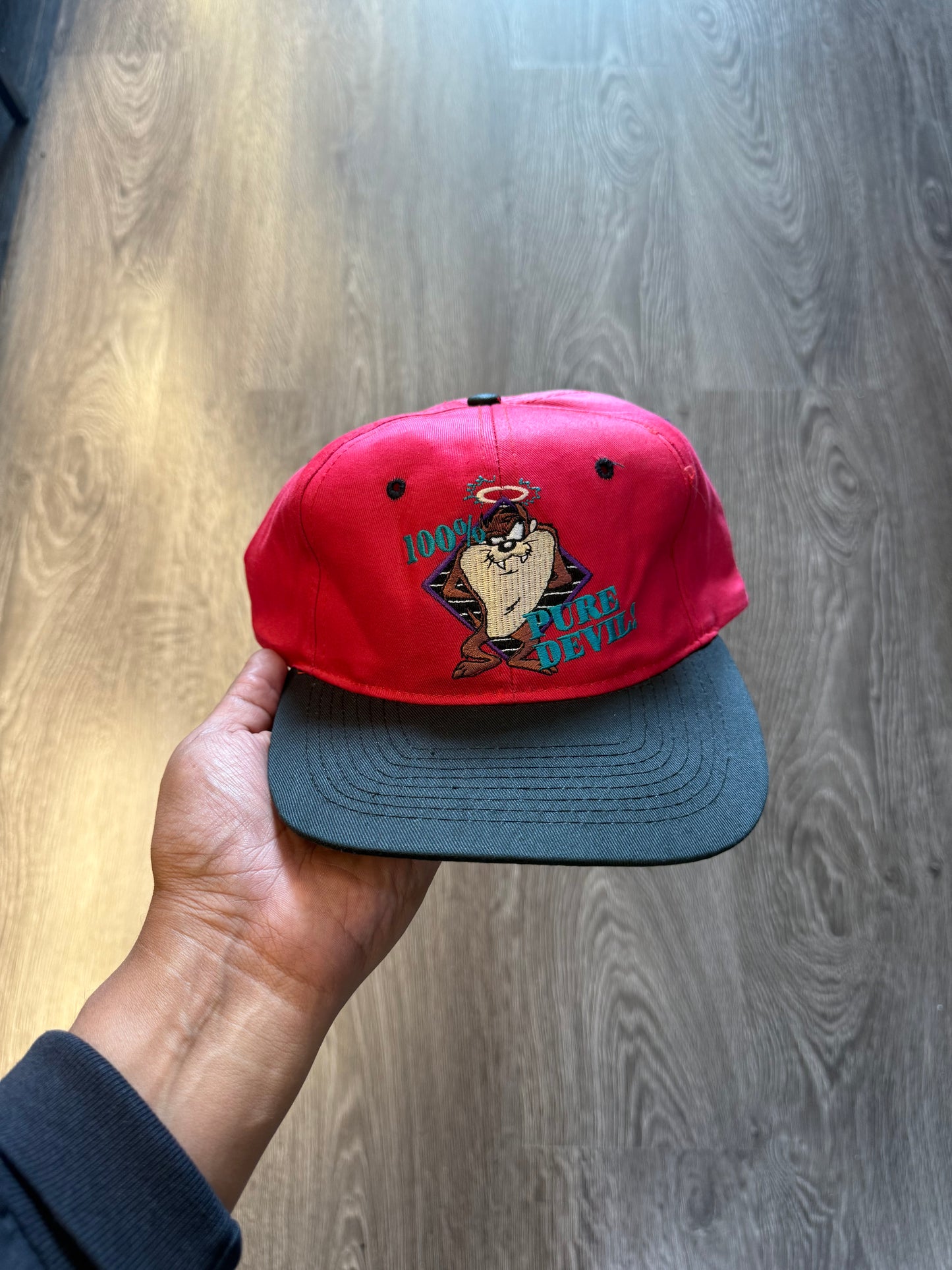 Vintage taz snapback hat