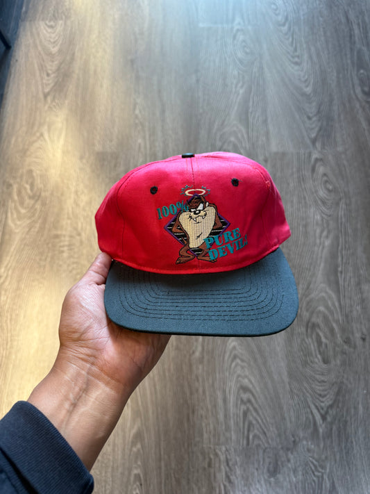 Vintage taz snapback hat