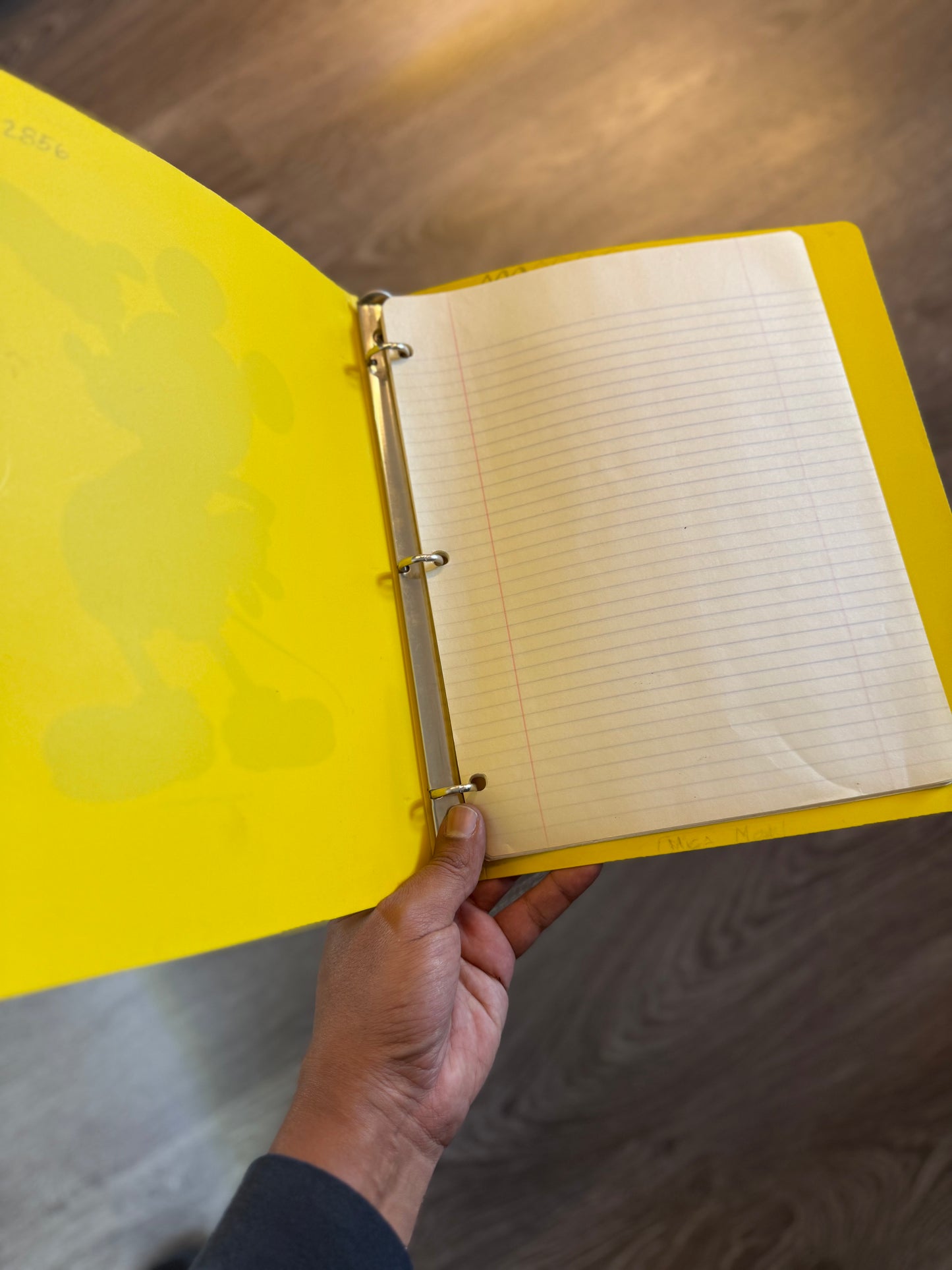 Mickie mouse school folder