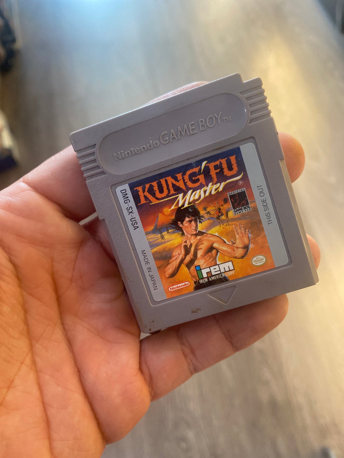 Nintendo Gameboy Kung Fu Master Video Game