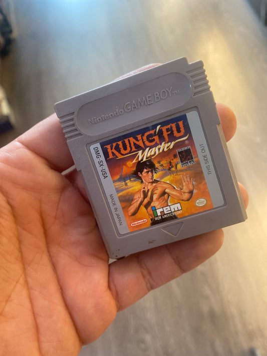 Nintendo Gameboy Kung Fu Master Video Game