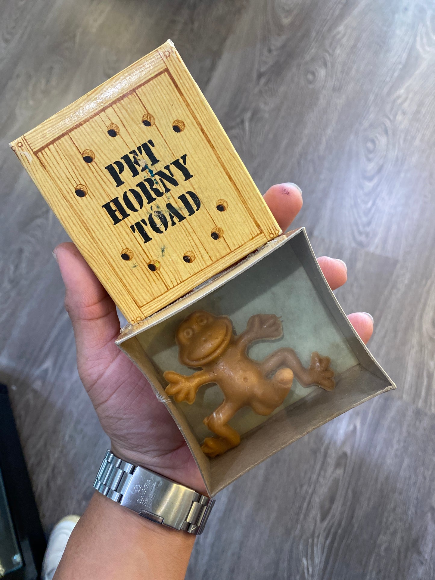 Pet Horny Toad In Box