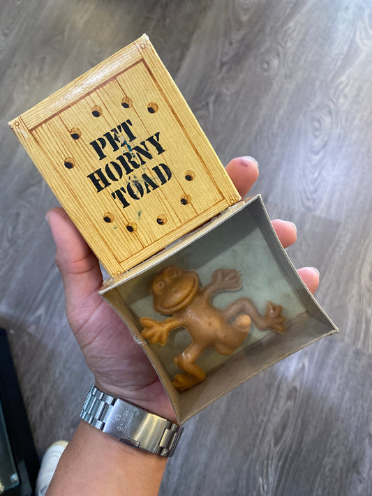 Pet Horny Toad In Box